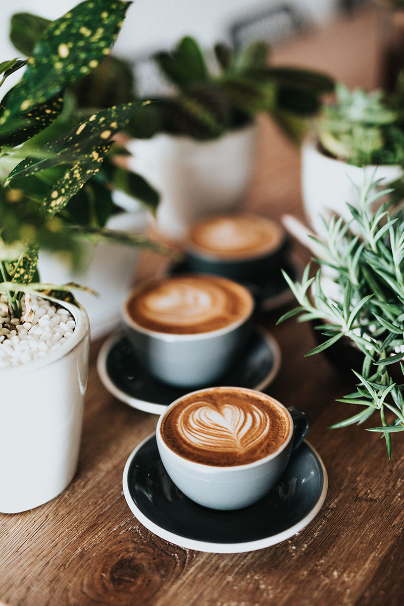 Coffee cups with decorative foam art on table with succulent plants.