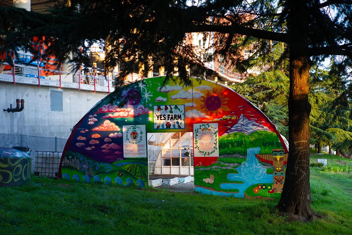 Yes Farm in park with painted murals on greenhouse structure.