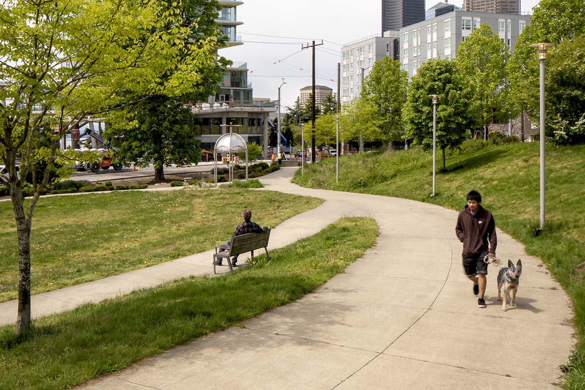 Yesler Park area with walking paths, benches, and tall trees.